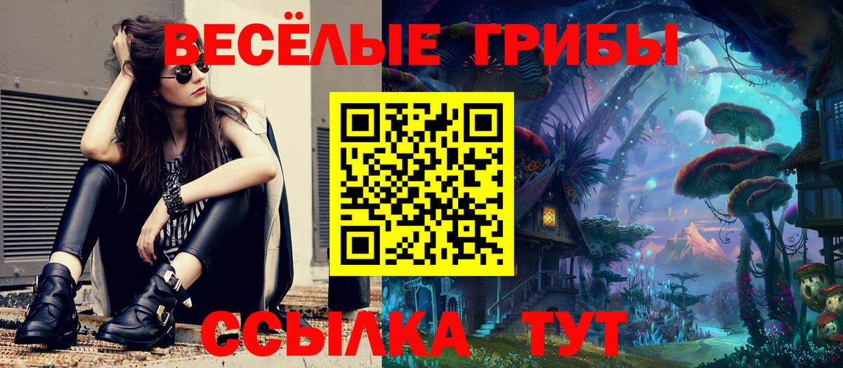 Галлюциногенные грибы Psilocybine cubensis  Вход с VPN  Донской 
