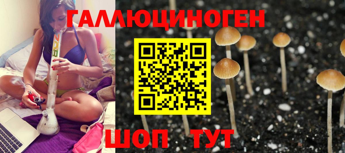 Галлюциногенные грибы мицелий Донской